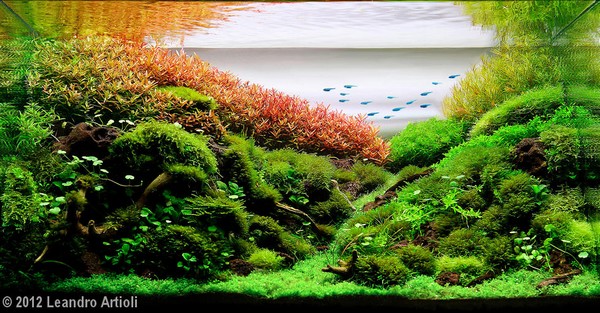 Leandro Artioli (Brazylia)